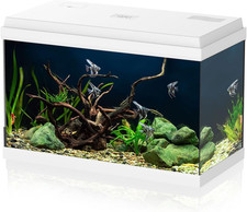 Acquario in Vetro per Pesci Tropicali Completo Di Accessori Filtro Luce Simply, 