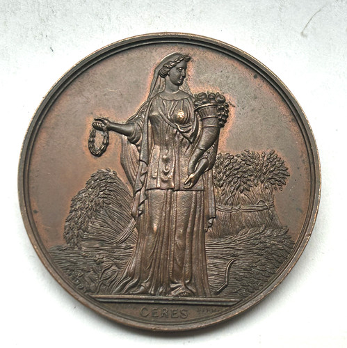 Medaglia premio bronzo - medaglia,