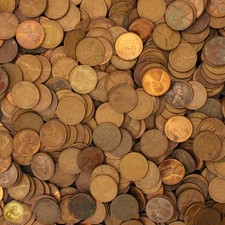 1 Pound Lot (145) of Wheat