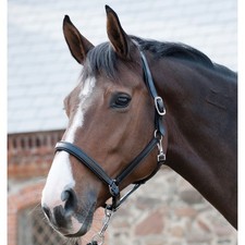 Cavallo Guard Cavezza Cuoio -