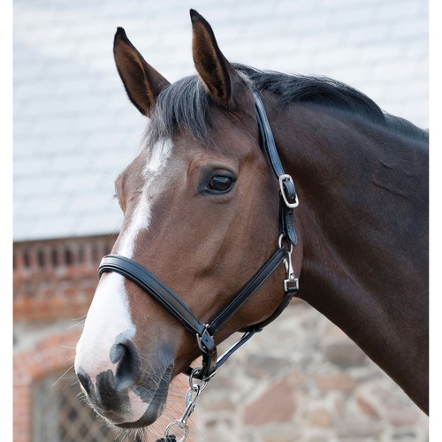 Cavallo guard cavezza cuoio - guard,