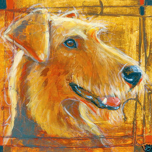 Airedale welsh lakeland - airedale,