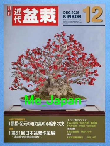Kindai bonsai kinbon - kindai,