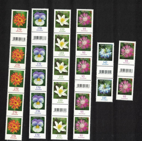 Fascia fiori 4x5 - fiori, con
