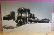 GATTO NEVI : PANNELLO CARTONE