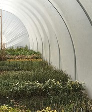 Kit polytunnel convenzionale - polytunnel,