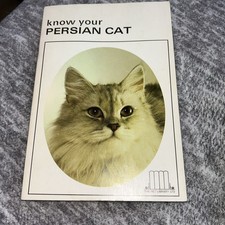 Know your persian cat - your, pet