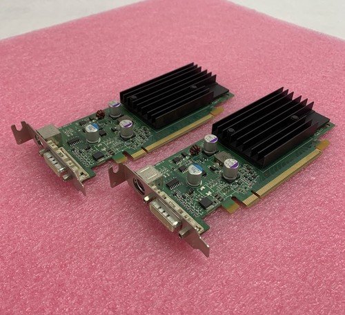 Scheda grafica video nvidia - grafica,