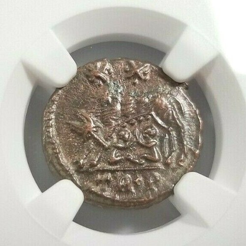 She wolf twins - twins, ngc