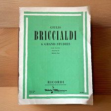 Giulio Briccialdi ~ Op. 31 ~ 6