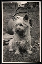 Cartolina fotografica Piccolo