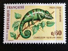 VARIÉTÉ - Caméléon , Maury