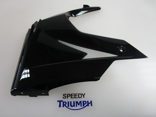 Triumph daytona 675 - daytona, pannello