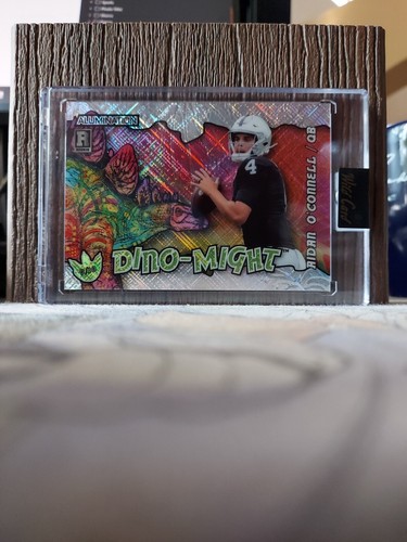 2023 wild card alluminazione - card,