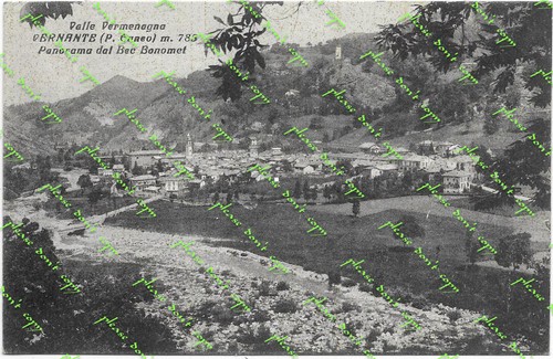 879 cartolina vernante - cartolina,