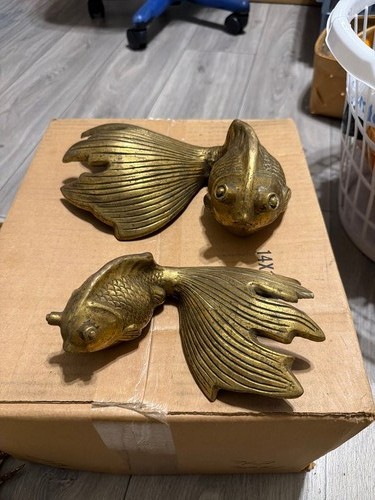 Decorazione parete pesce - decorazione,