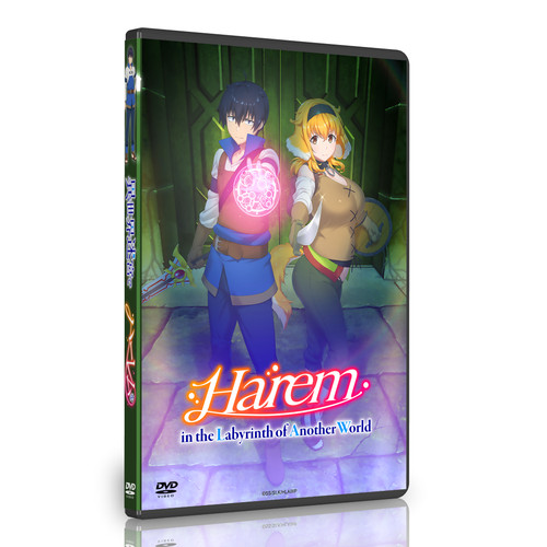 Anime harem the labyrinth - anime, in