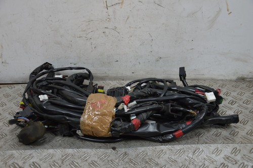 78984 cablaggio impianto - 78984,