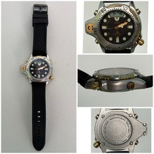 Rare Citizen Promaster