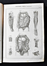 Stampa antica nomenclatura - Medicina Anatomia Umana Fisiologia Angiologia vasi