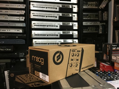Moog moogerfooger 101 - moog,