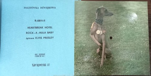 Elvis presley cartolina - elvis,