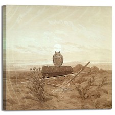 Caspar Owl Landscape Design