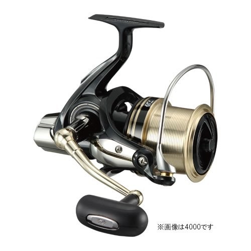 Mulinello spinning daiwa - spinning,