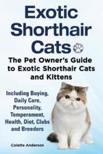 Exotic Shorthair Cats The Pet