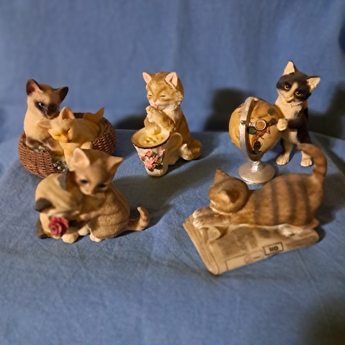 Deliziosi gattini resina - deliziosi,