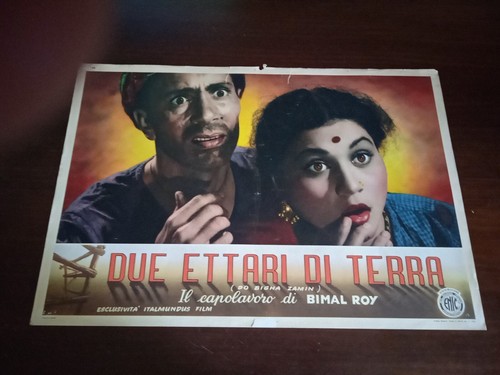 Fotobusta due ettari di - -,