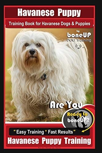Havanese puppy training book - puppy,