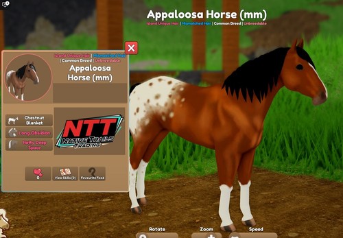 Wild horse islands obsidian - -,
