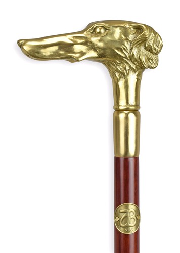 Bastone passeggio con - bastone,