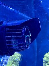 Vortech MP40 Wave Guard Shroud-Ecotech pompe marine -stop bolle d'aria - serbatoio Frag