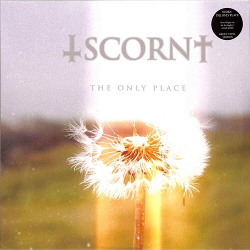 Scorn the only place orange - /,