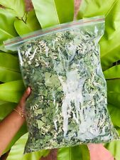 Erba da sogno messicana Calea