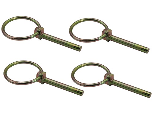 Perno sicurezza - 4x,