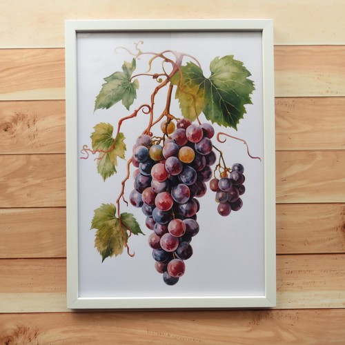 Poster stampa artistica - , uva
