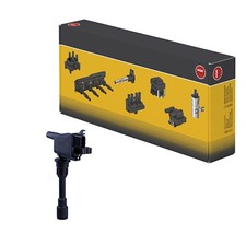 Bobina accensione 2 ingressi e