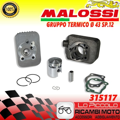 Kit malossi 315491 gruppo - 315491,