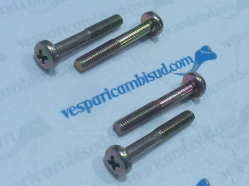 Kit viti fissaggio coperchio - viti,