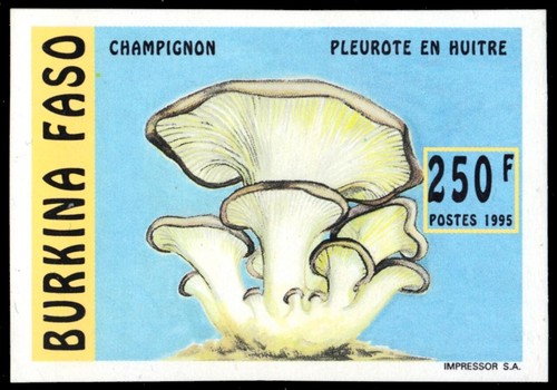 Burkina faso 1046i funghi - burkina,