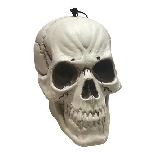 Carnevale halloween teschio - halloween,