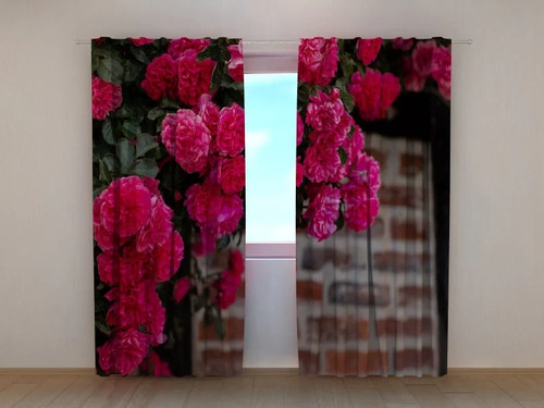 Tende cespuglio rose rosa - tende,