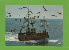 Peschereccio - Ritorno Dalla