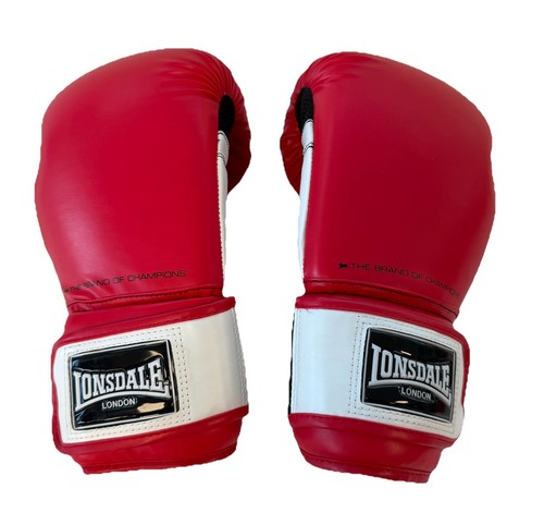 Guantoni boxe da - da,