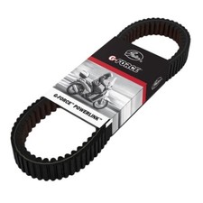 Cinghia Trasmissione Gates Sym HD 300/TCS 2019-2020-2021-2022-2023-2024 Euro 4/5