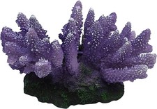 Decorazione acquario marino