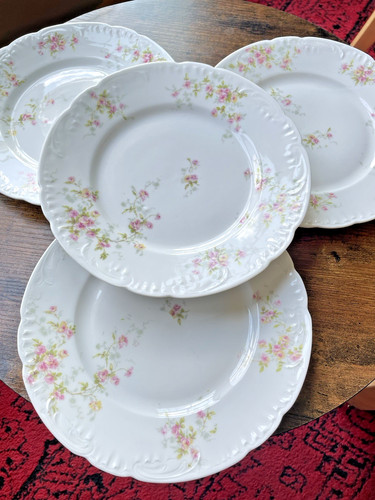 Luncheon plates theodore - luncheon,